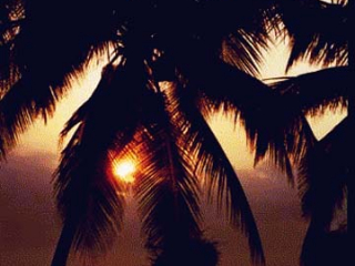 nhatrang2